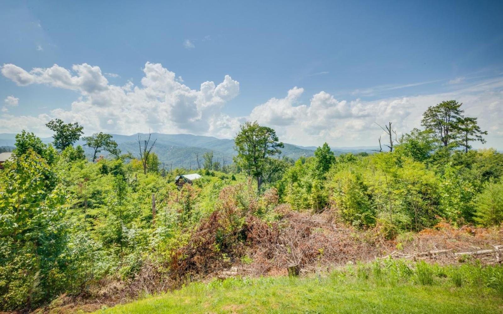 Vila Lifes A Bear Gatlinburg Exteriér fotografie